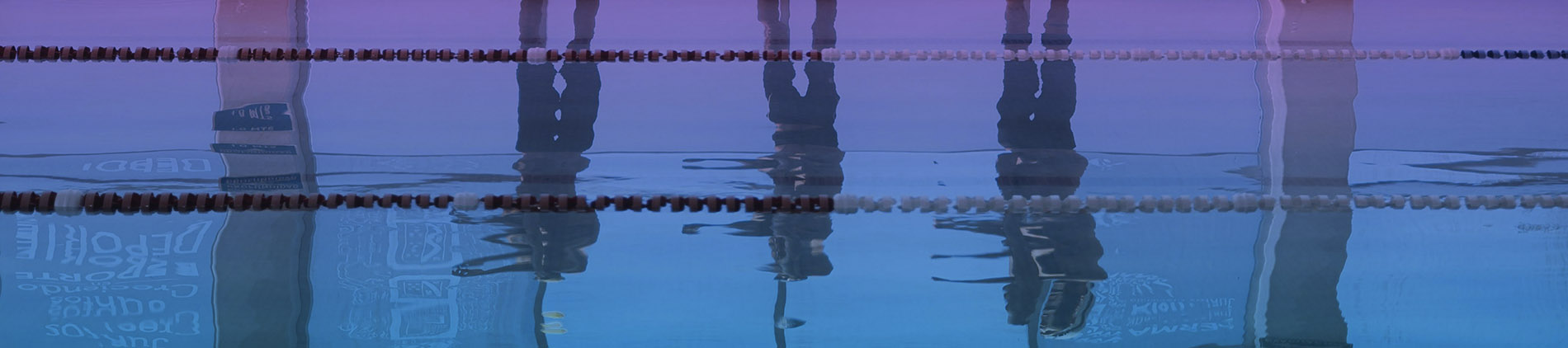 &nbsp;